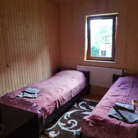 Guest house Карпати