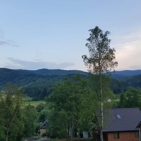 Карпати *